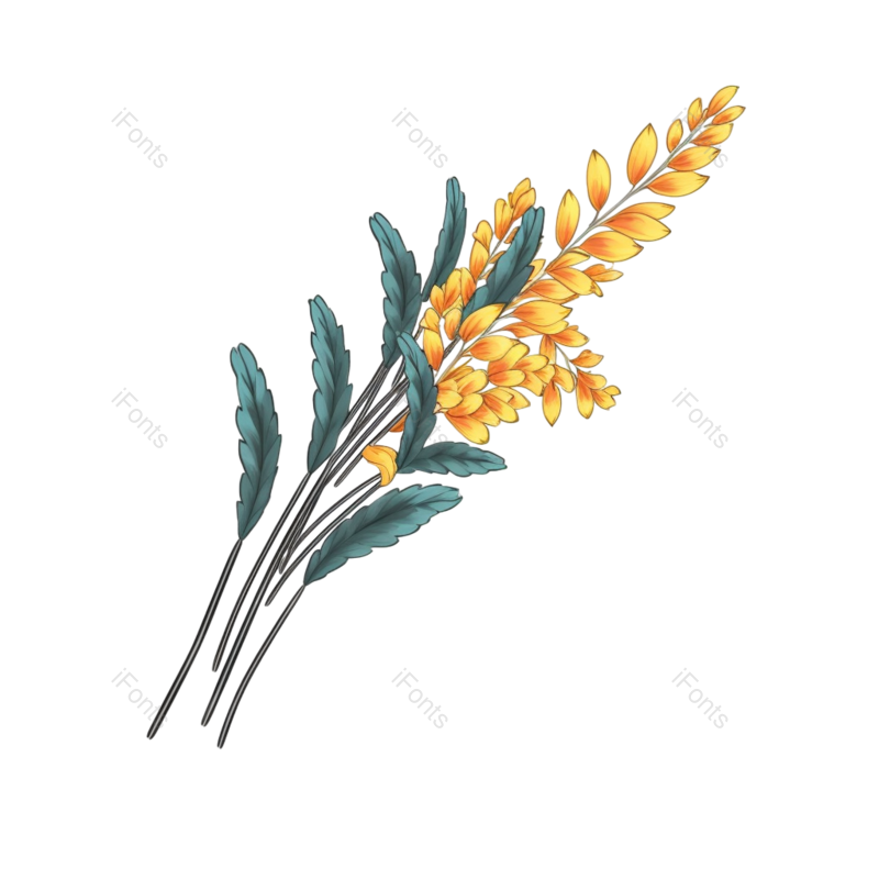 叶子图片,装饰元素,元素PNG,插画免抠素材